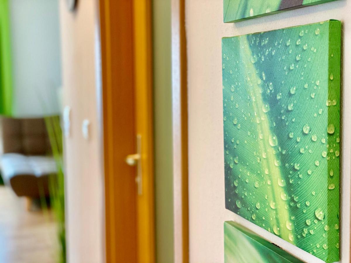 Elbflair Apartment Pirna Bagian luar foto